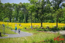 成都环城生态区绿道骑行管理办法公开征求意见，拟规定骑行限速15公里、共享自行车应配头盔图片