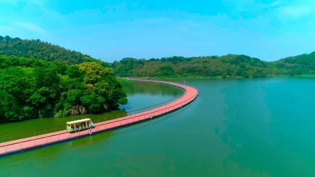 跟着浙BA游宁波，打卡这些“隐藏款”，出片率100%