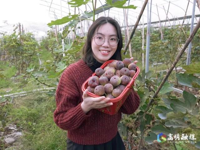 出发！高明遛娃采摘攻略来啦，甜度爆表（附定位）