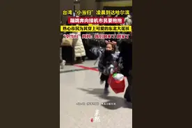 台湾“小当归”凌晨到达哈尔滨，蹦跳奔向接机市民要抱抱。“小当归”妈妈：我们回来了 回家了图片