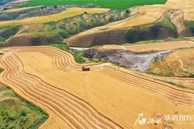 “缺水”的新疆何以“粮满仓”图片