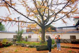 攀枝花仁和区：端起“生态碗”吃上“旅游饭”，小山村华丽“变身”图片