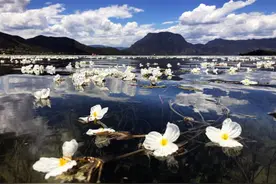 “宁”静山城 “蒗”漫彝乡｜避暑的尽头是宁蒗！湖光山色给你一个20℃的清凉夏天！图片