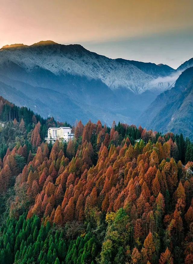 不搞虚的！宠粉天花板还得是龙门山！（文末有福利）