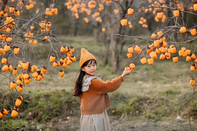 柿子红了！日照这片“柿”情画意，超出片！