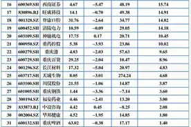 2024年重庆A股32家上涨 宗申动力、远达环保、力帆科技列前三图片