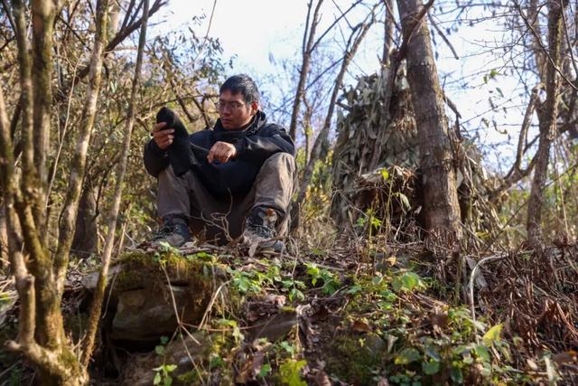 那么多荒野求生，怎么就七星山爆了｜记者行思