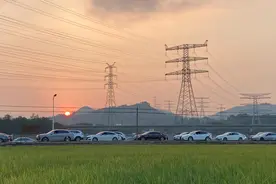 中山南朗崖口村：千亩晚稻迎丰收，金秋风景引客来图片