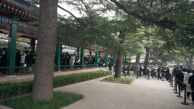今天，送别杨振宁先生