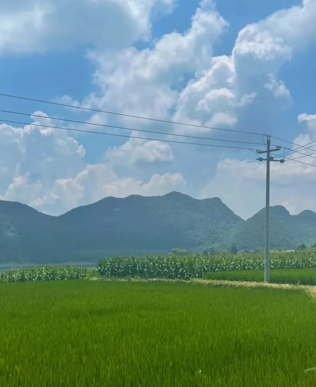 阳光正好，微风不燥，贵州避暑旅游正当时~