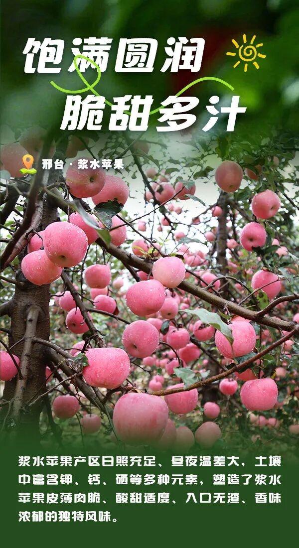 被邢台圈粉了！每一口都是自然的馈赠