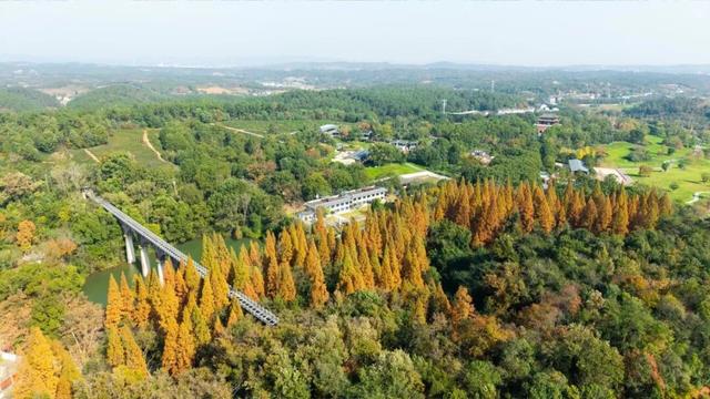 这座千年古城，关羽张飞赵云都在此留下传奇！