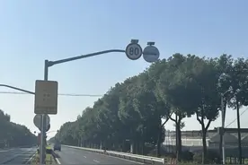 金山区新增一移动测速点图片