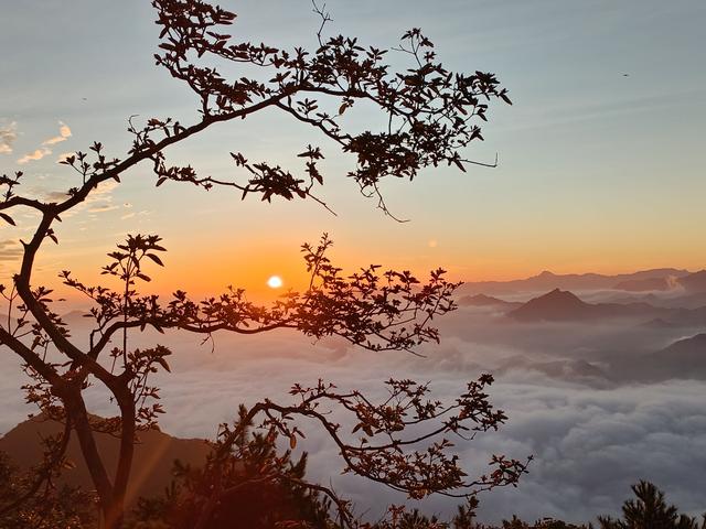 岳西牛草山清晨现美丽云海日出