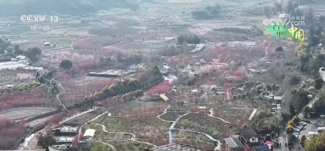 去踏青、共赏花，春意正浓！““春日经济”蓬勃绽放