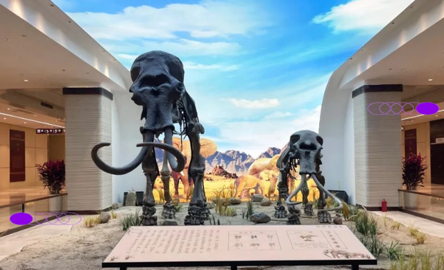 无需预约免费进！郑州这8个能待一下午的室内场馆别错过！