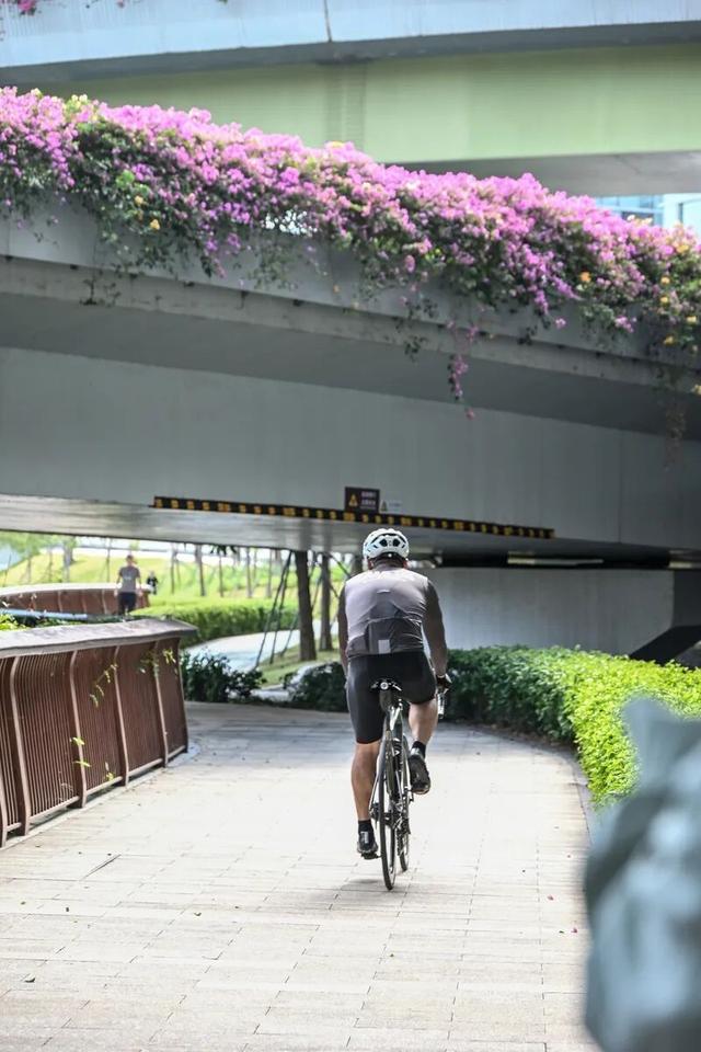 深圳知名景区紧急通知！