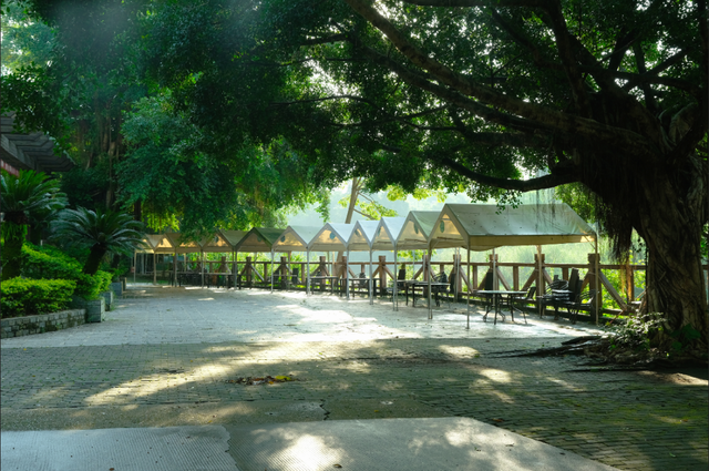 勇敢者的游戏！丛林穿越大冒险，真人CS对抗战免费玩！就在这里→