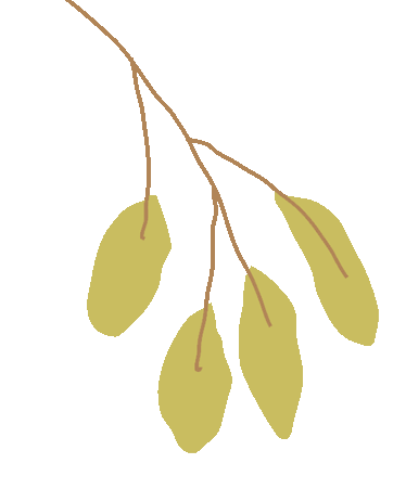 上海Citywalk正当时！市区5星级酒店客房折上折！大闸蟹自助、双人下午茶特惠价！免费住宿福利到