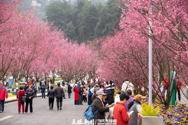 【生态文化】贵阳阿哈湖公园推动生态产品价值转化