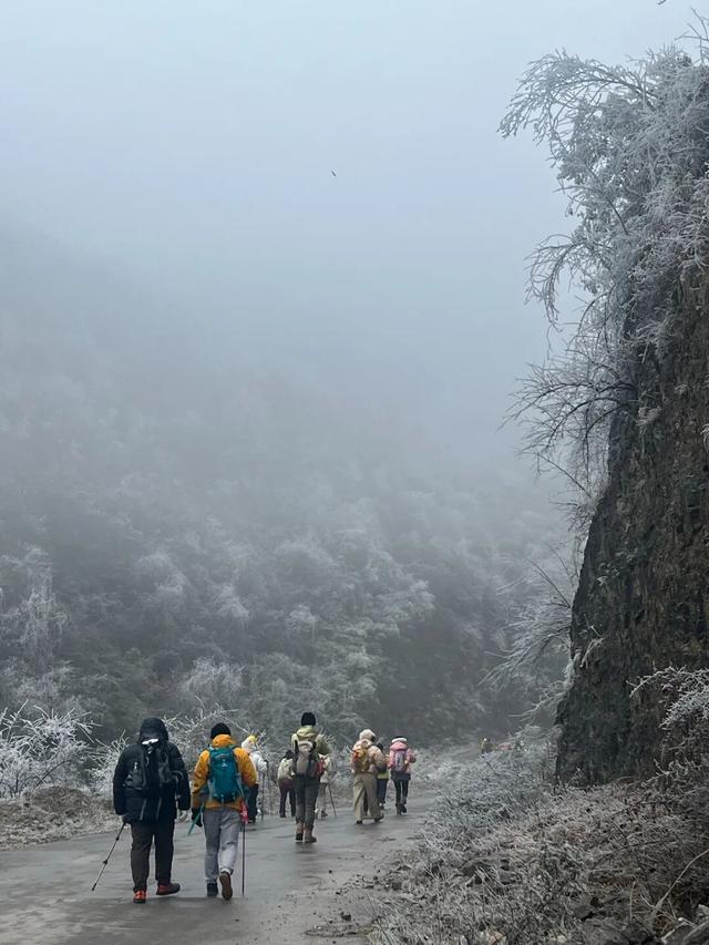 冬日限定！贵州的雾凇秘境藏不住了