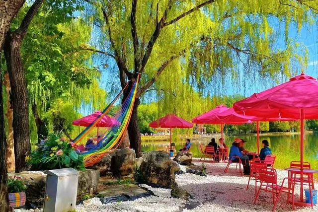 郁金香盛放，花朝启雅韵！4月3日赴鲜花港之约