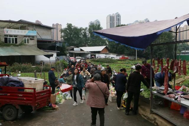 龙泉的早高峰在西河综合市场