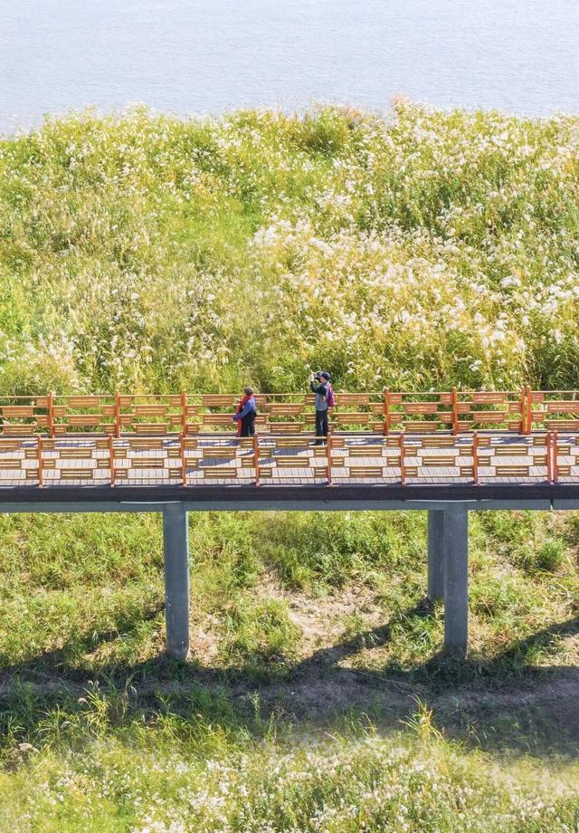 热干面遇见蒸烧卖，开启一场跨越2000公里的季节约会