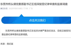 东莞市桥头镇党委原副书记王旭深被查，一个月前退休图片
