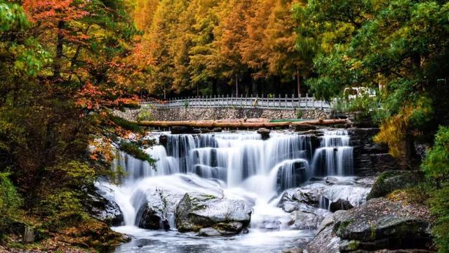 滴！重阳暖心免票福利→这张秋日『头等舱』车票请签收！