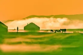 “中国天马之乡”的新跨越图片