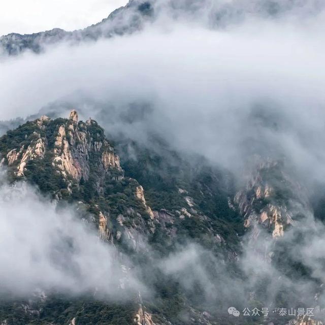 泰山雨霁：云雾织仙境，霞光染群峰，这泼墨山水里藏着夏日最治愈的奔赴