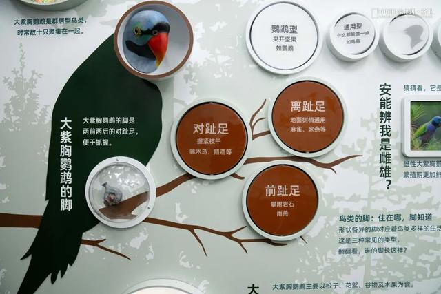 波密零碳自然驿站矩阵落成