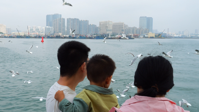 【家国同庆 悦享奥帆】就在黄岛，国庆开启“追鸥逐浪”之旅！乘船喂海鸥，浪漫又治愈！