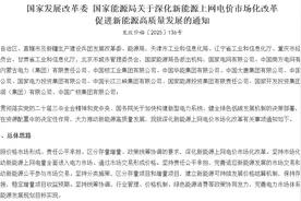 新能源行业第三次定价机制改革落地，关于项目收益、技术发展，业内这么说⋯⋯丨新能源市场化变革图片