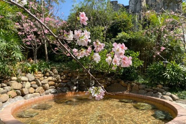 11月的清远将有大动作！