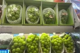 阳光玫瑰葡萄一斤不到10元！质量参差不齐，口感“坐上过山车”，商户：销量还不如巨峰葡萄图片
