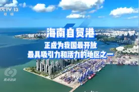 《焦点访谈》关注海南自贸港高水平对外开放图片