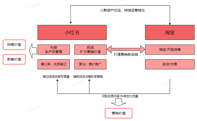 小红书的红猫计划到底是啥？
