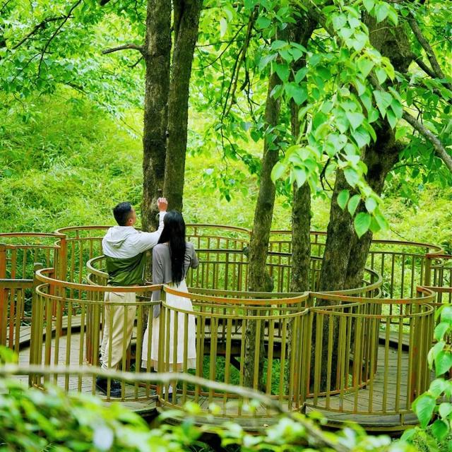 爱了！8月29日至31日，瓦屋山【所有人免门票】 这个七夕在家搂搂抱抱，不如来兰溪绝壁栈道！