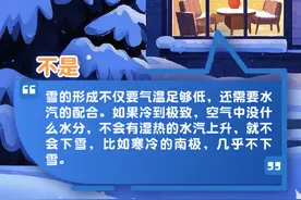 被雪硬控的冬天！关于雪的“冷”知识 你知道几个？图片