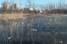 银行人无计可施，只能让老人用绳子绑住自己......图片