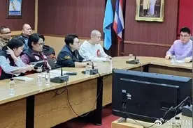 去年赴泰外国游客超3500万人次，泰国总理担心王星事件影响旅游业图片