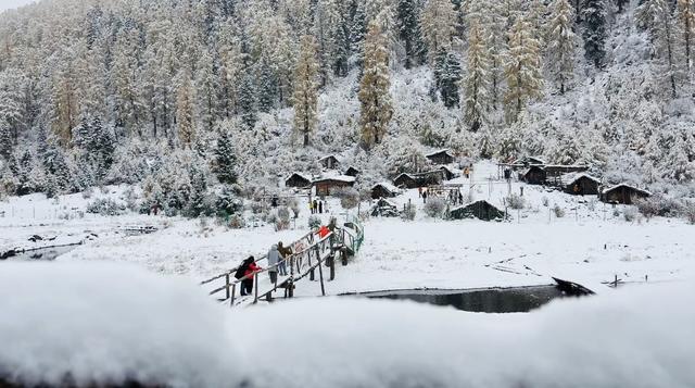 快上车！深秋限定九寨沟彩林与雪花同框，动车票每天3个时段可抢