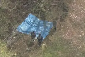 华人夫妇在日遇害遗体被焚，长女涉嫌谋杀被抓！准女婿已落网图片