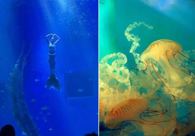 超值权益又上新啦！16家热门打卡点！