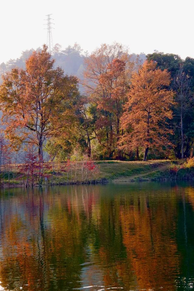 暖身又暖心！8条自驾线路带你在广西反向过冬→