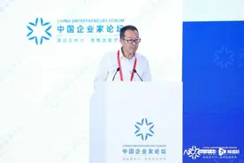 俞敏洪即兴演讲：深圳是资本和实业结合的典范图片