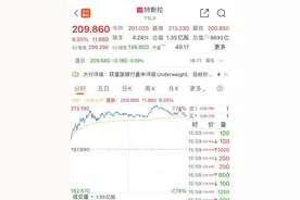 特斯拉股价大涨超6% 7月发布5年免息变相降价政策，应对国产新能源挑战图片