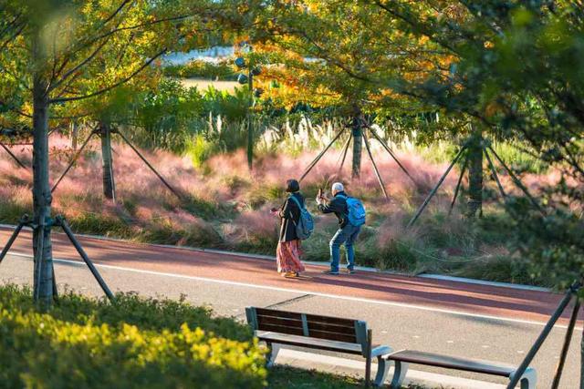 快来打卡！张村河生态公园一期全线试运行